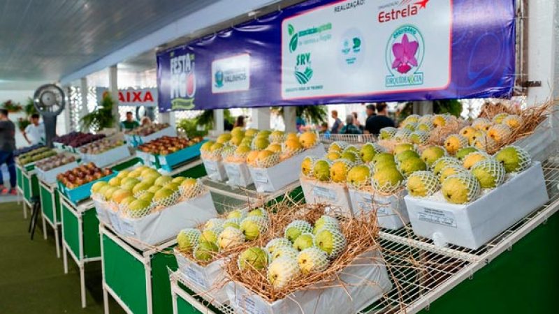 Festa do Figo provoca alterações no trânsito no entorno do Parque Municipal