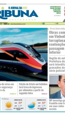 Ano 5 – Edição 219